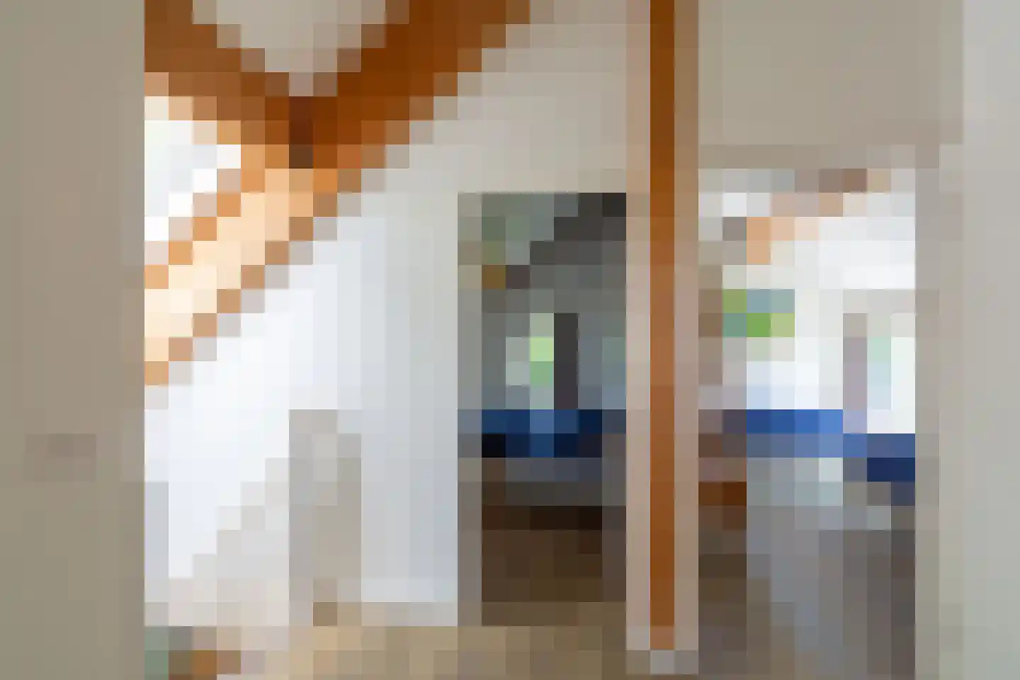 Ooghduyne 42 Julianadorp thumbnail 17
