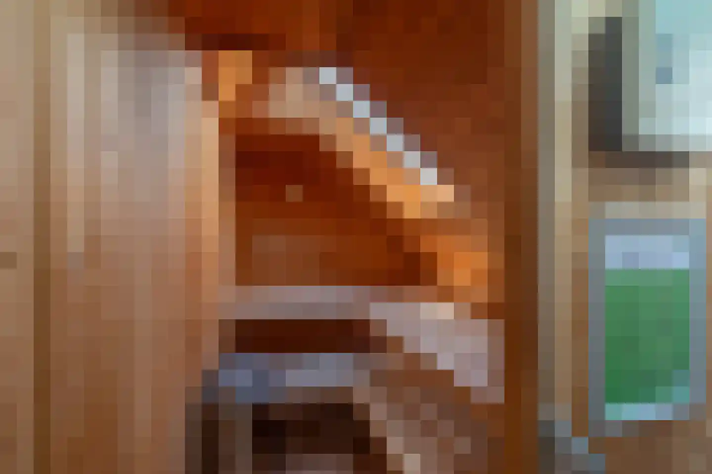 Ooghduyne 42 Julianadorp thumbnail 23