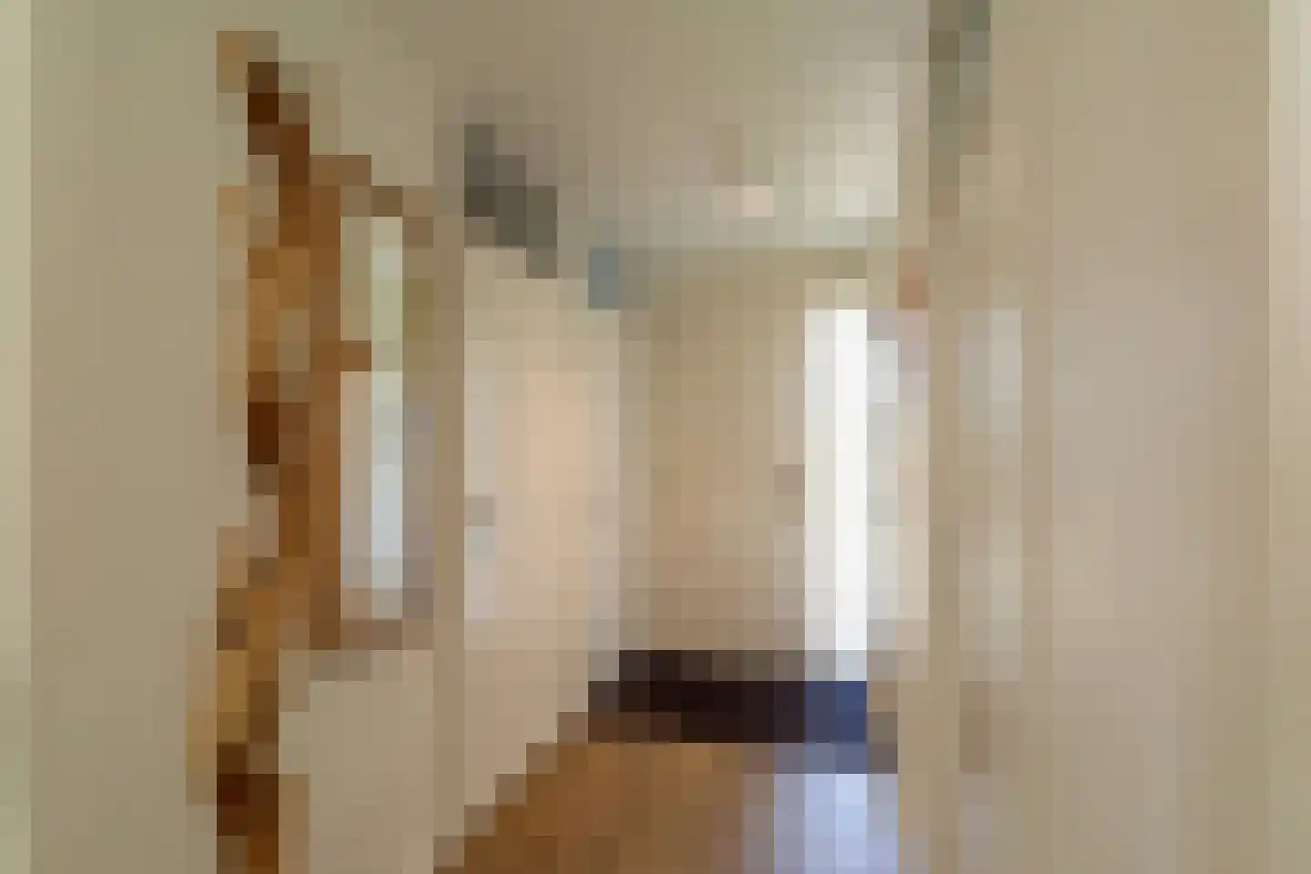 Ooghduyne 42 Julianadorp thumbnail 4