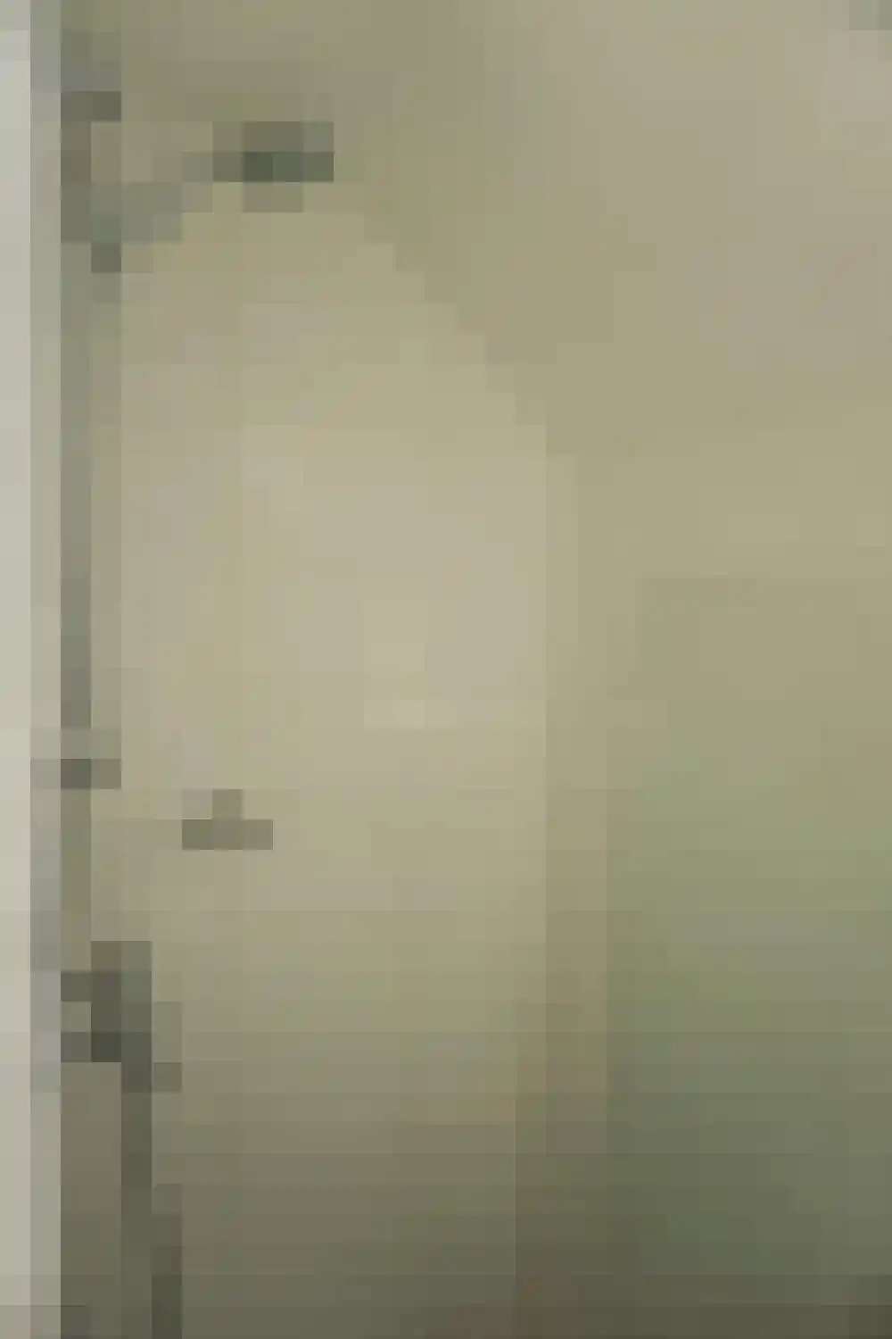 Ooghduyne 46 Julianadorp thumbnail 13