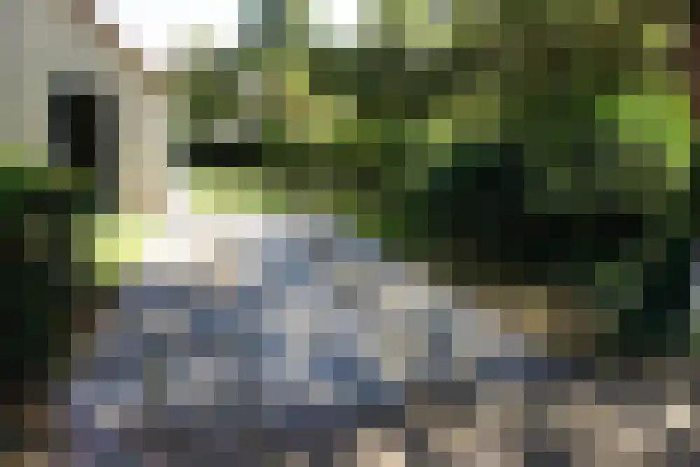Ooghduyne 46 Julianadorp thumbnail 18