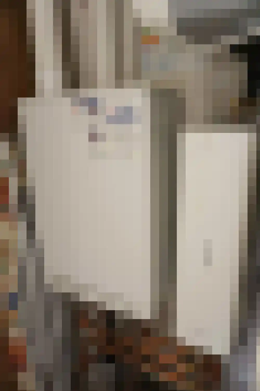 Ooghduyne 46 Julianadorp thumbnail 19