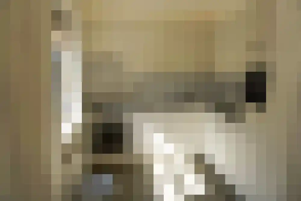 Ooghduyne 46 Julianadorp thumbnail 5
