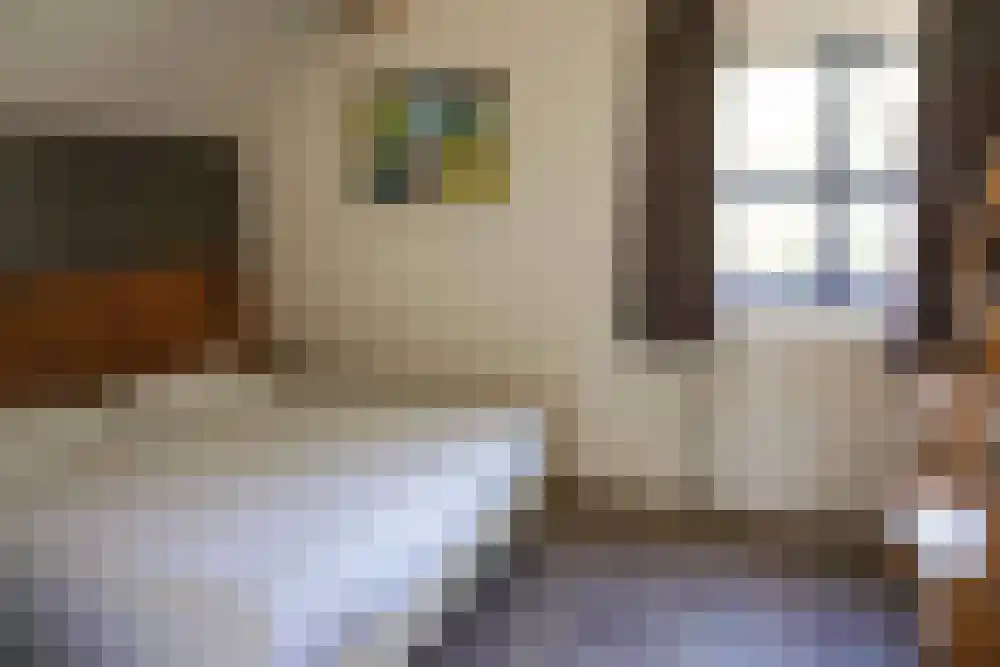 Ooghduyne 46 Julianadorp thumbnail 9