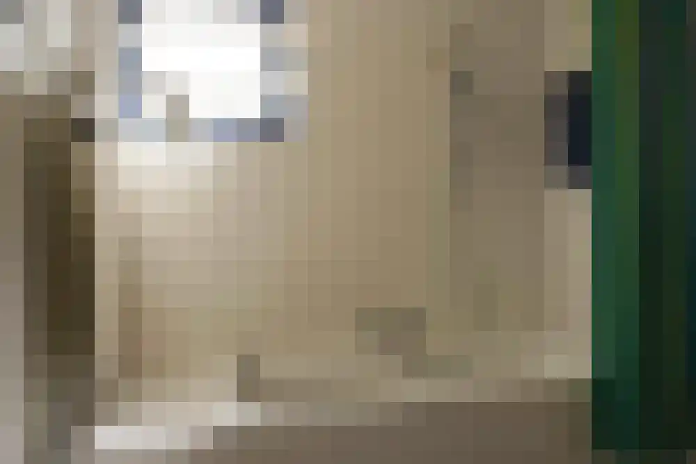 Ooghduyne 49 B Julianadorp thumbnail 18