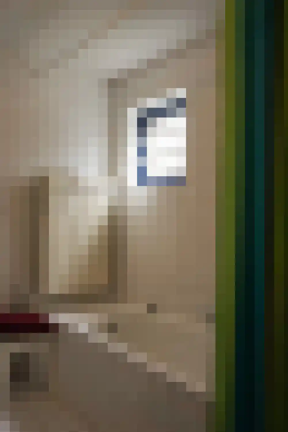Ooghduyne 49 B Julianadorp thumbnail 20