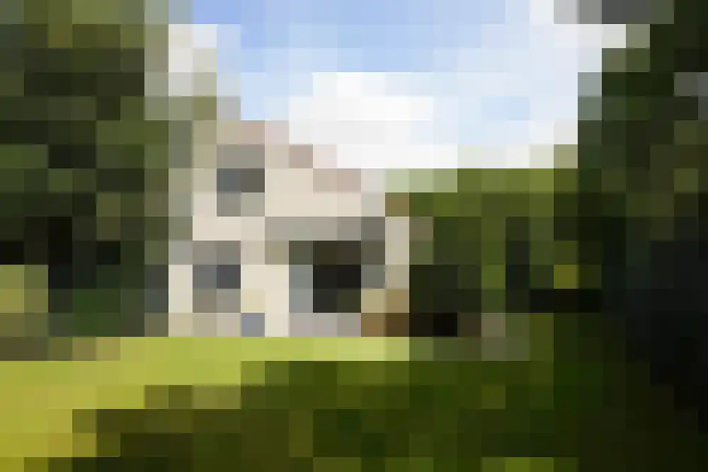 Ooghduyne 49 B Julianadorp thumbnail 25