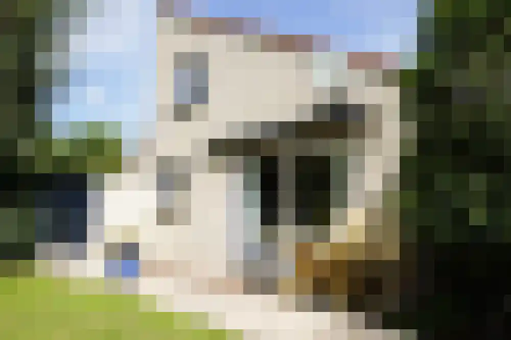 Ooghduyne 49 B Julianadorp thumbnail 26