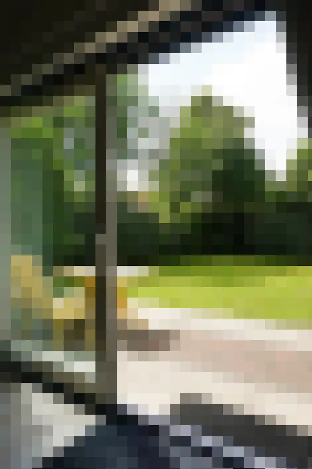 Ooghduyne 49 B Julianadorp thumbnail 27