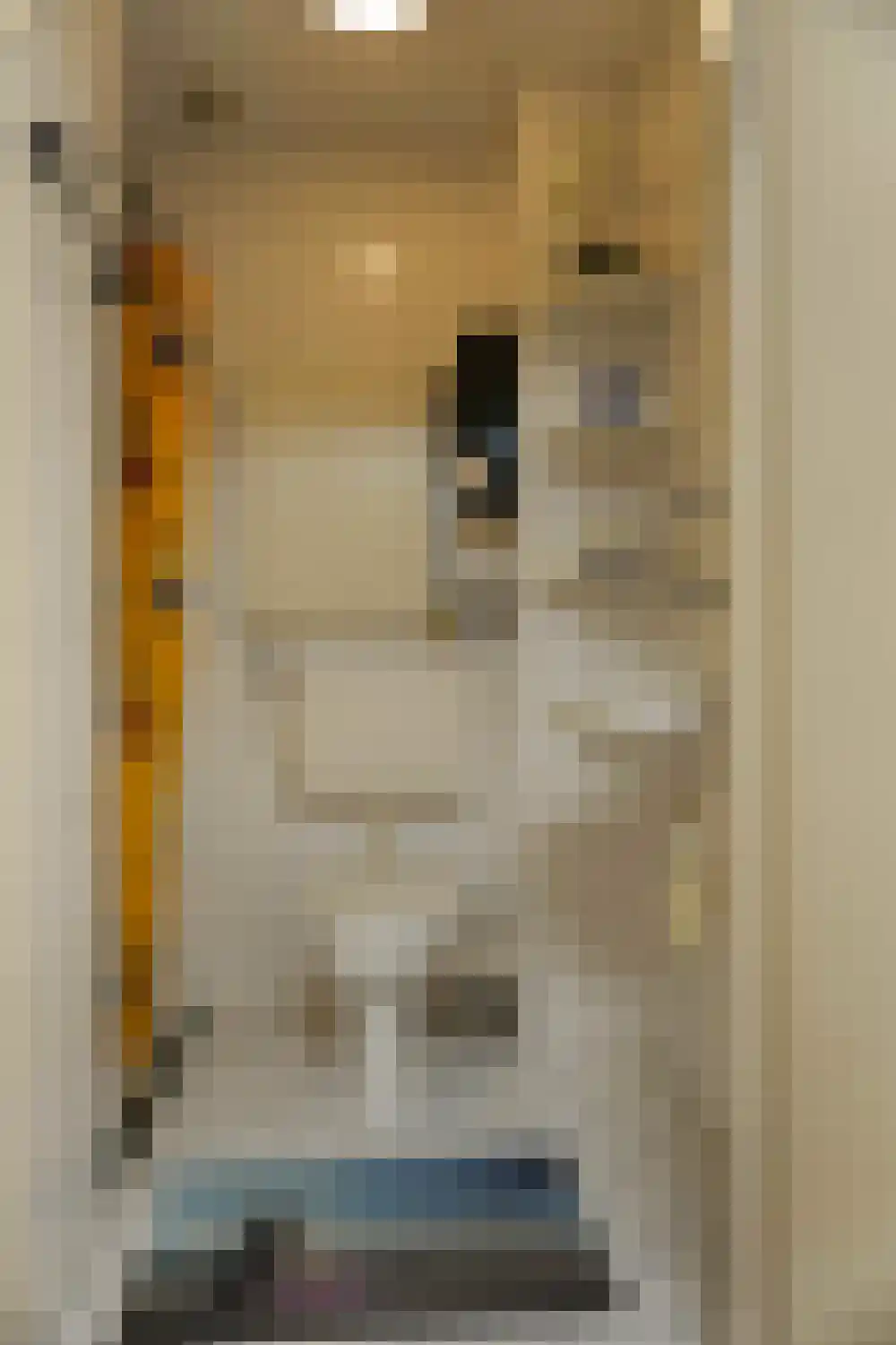 Ooghduyne 49 B Julianadorp thumbnail 37