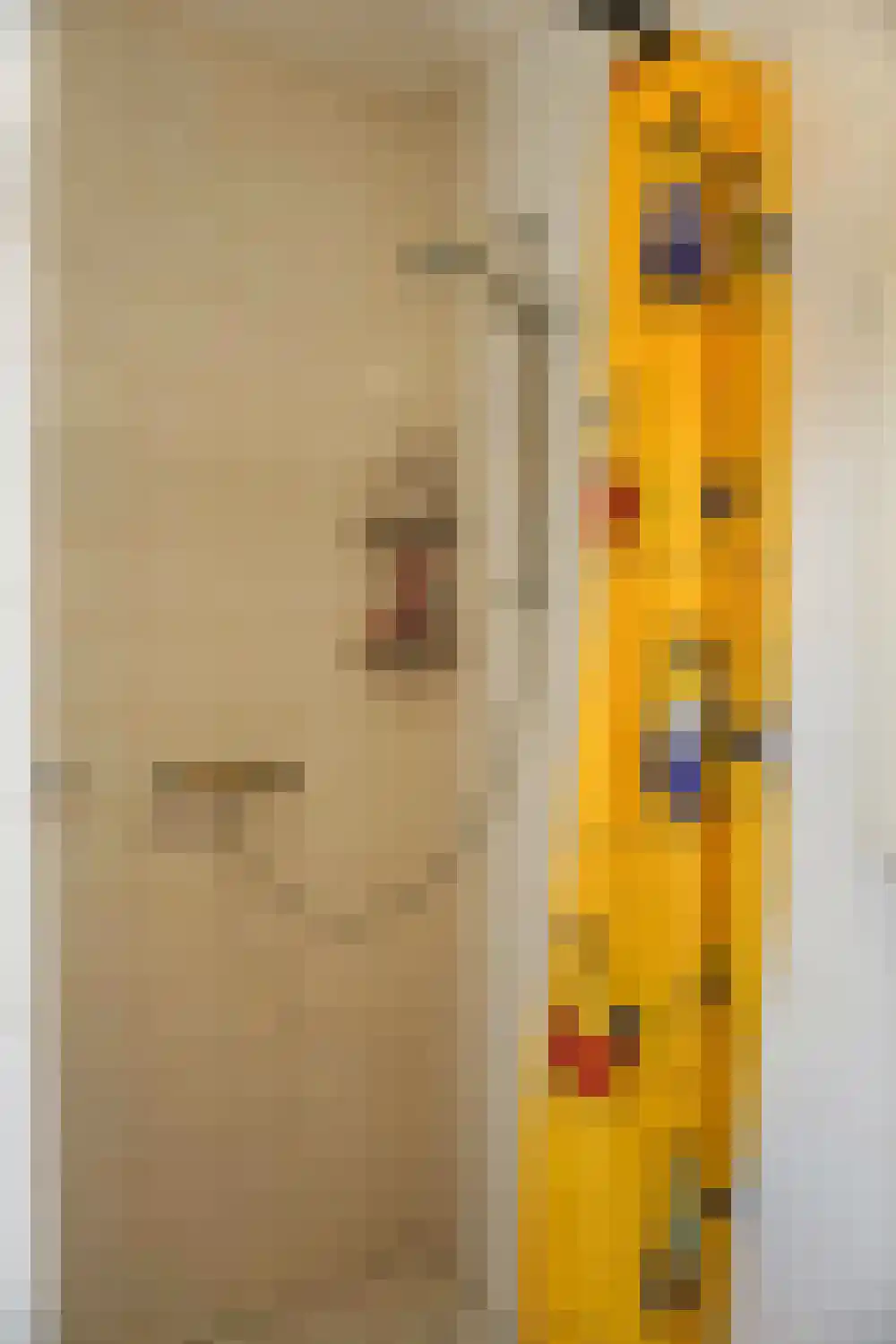 Ooghduyne 49 B Julianadorp thumbnail 38