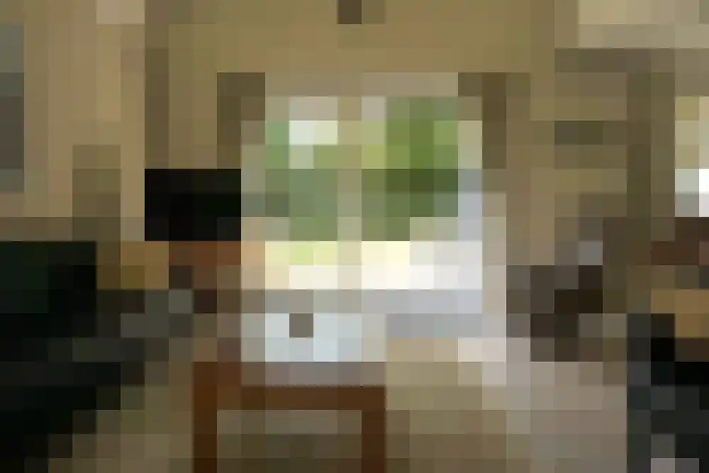 Ooghduyne 49 B Julianadorp thumbnail 6
