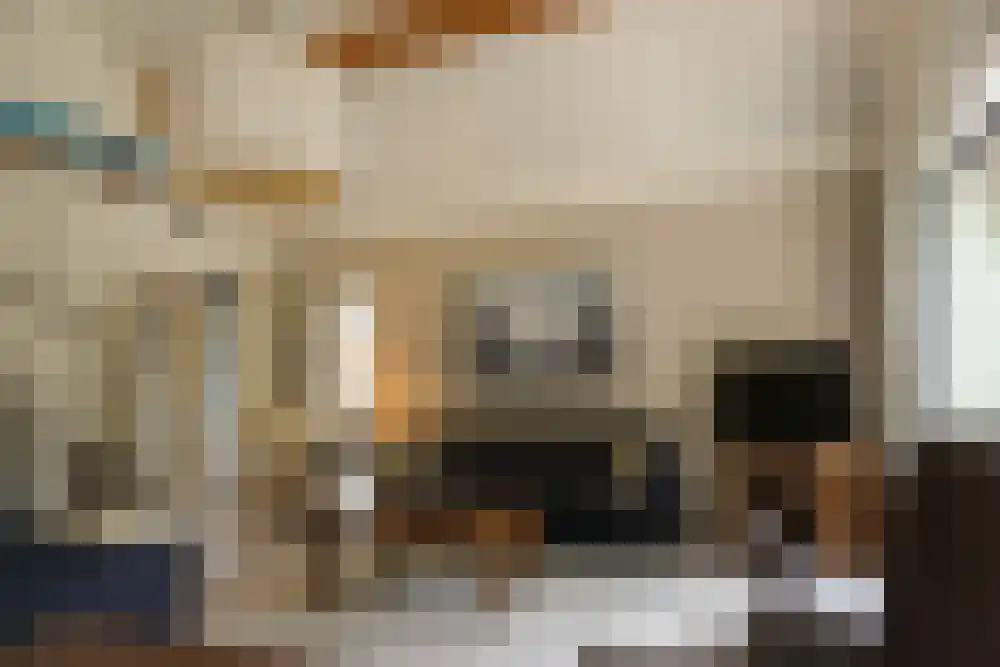 Ooghduyne 49 B Julianadorp thumbnail 9