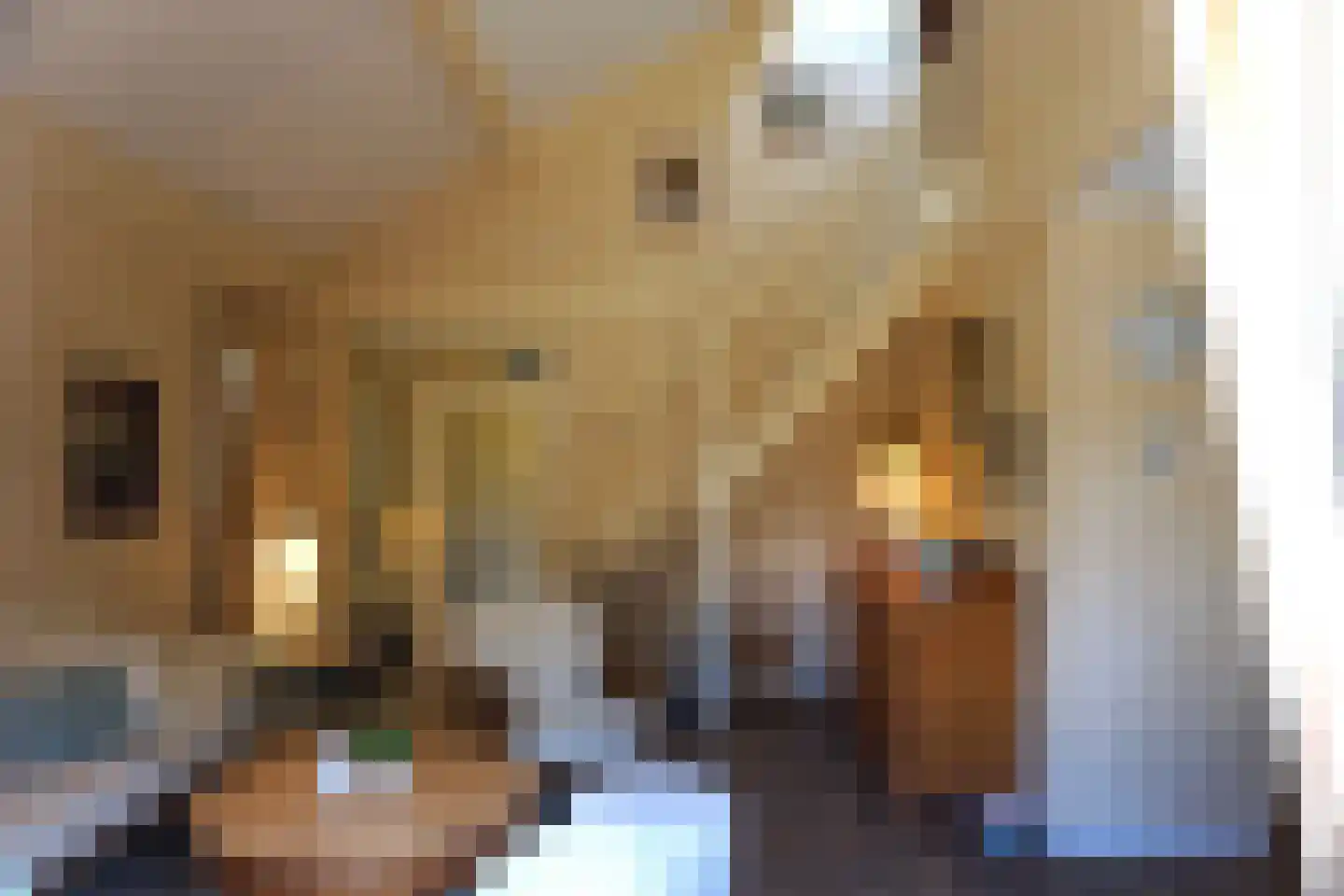 Ooghduyne 49 C Julianadorp thumbnail 10