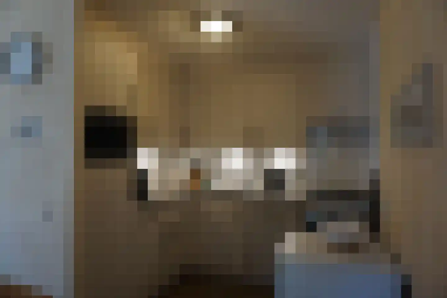 Ooghduyne 49 C Julianadorp thumbnail 15