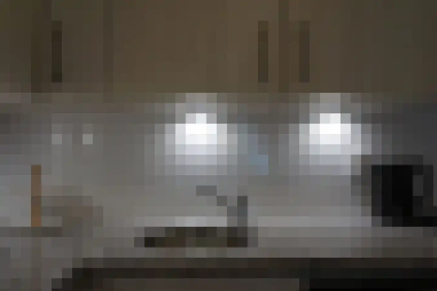 Ooghduyne 49 C Julianadorp thumbnail 16