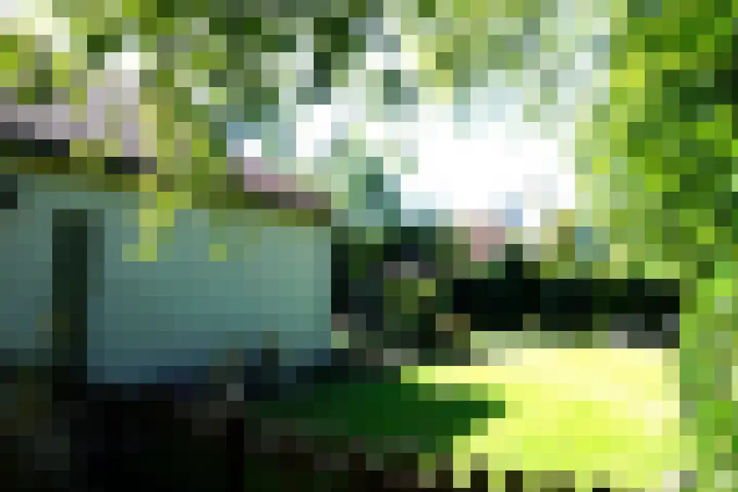 Ooghduyne 49 C Julianadorp thumbnail 32