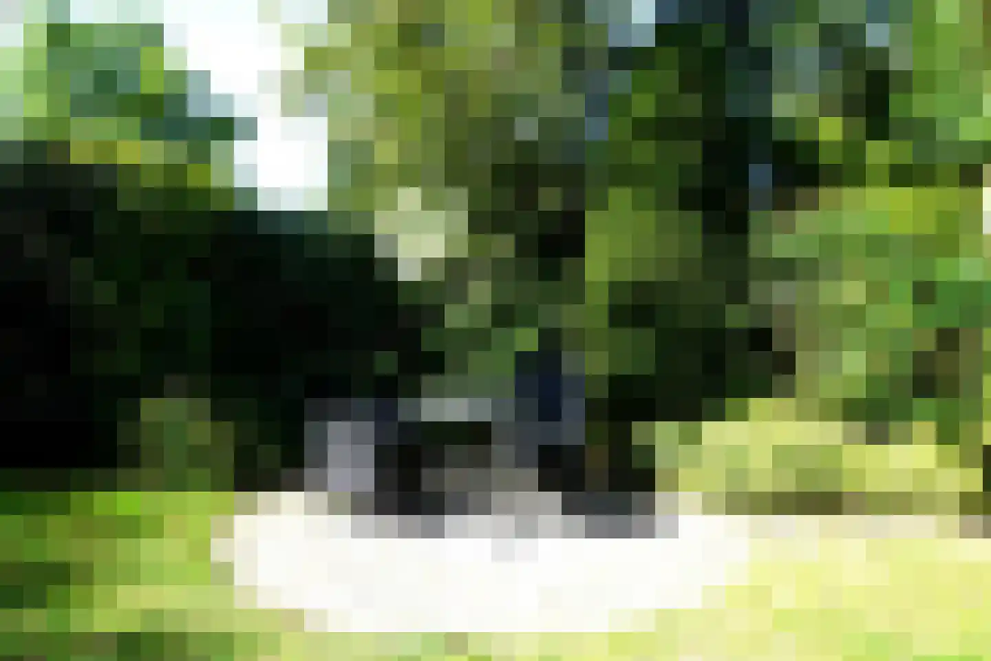 Ooghduyne 49 C Julianadorp thumbnail 35