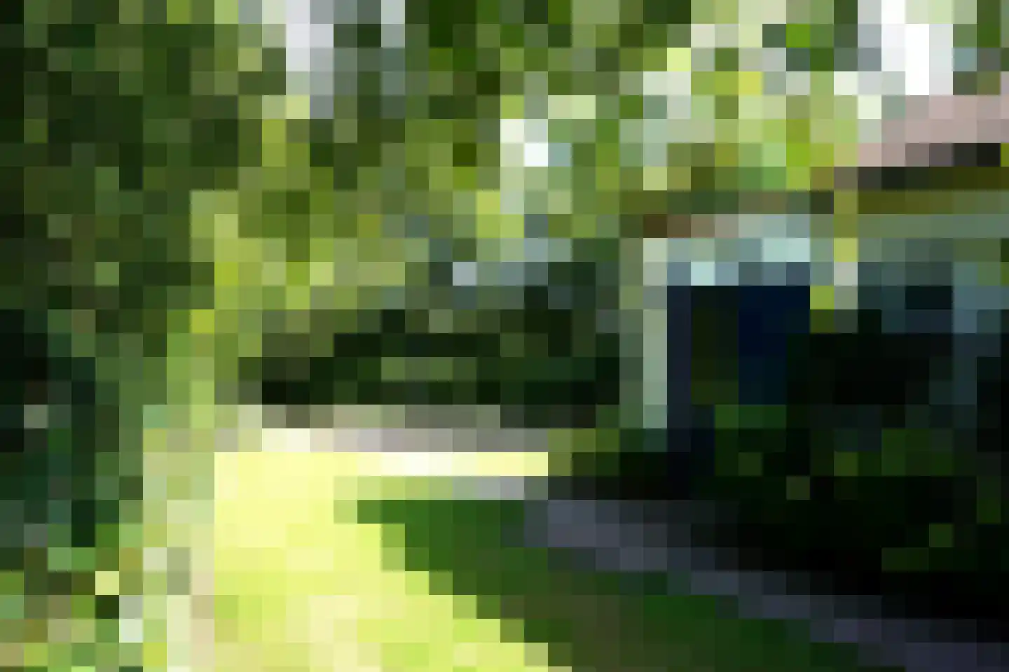 Ooghduyne 49 C Julianadorp thumbnail 42