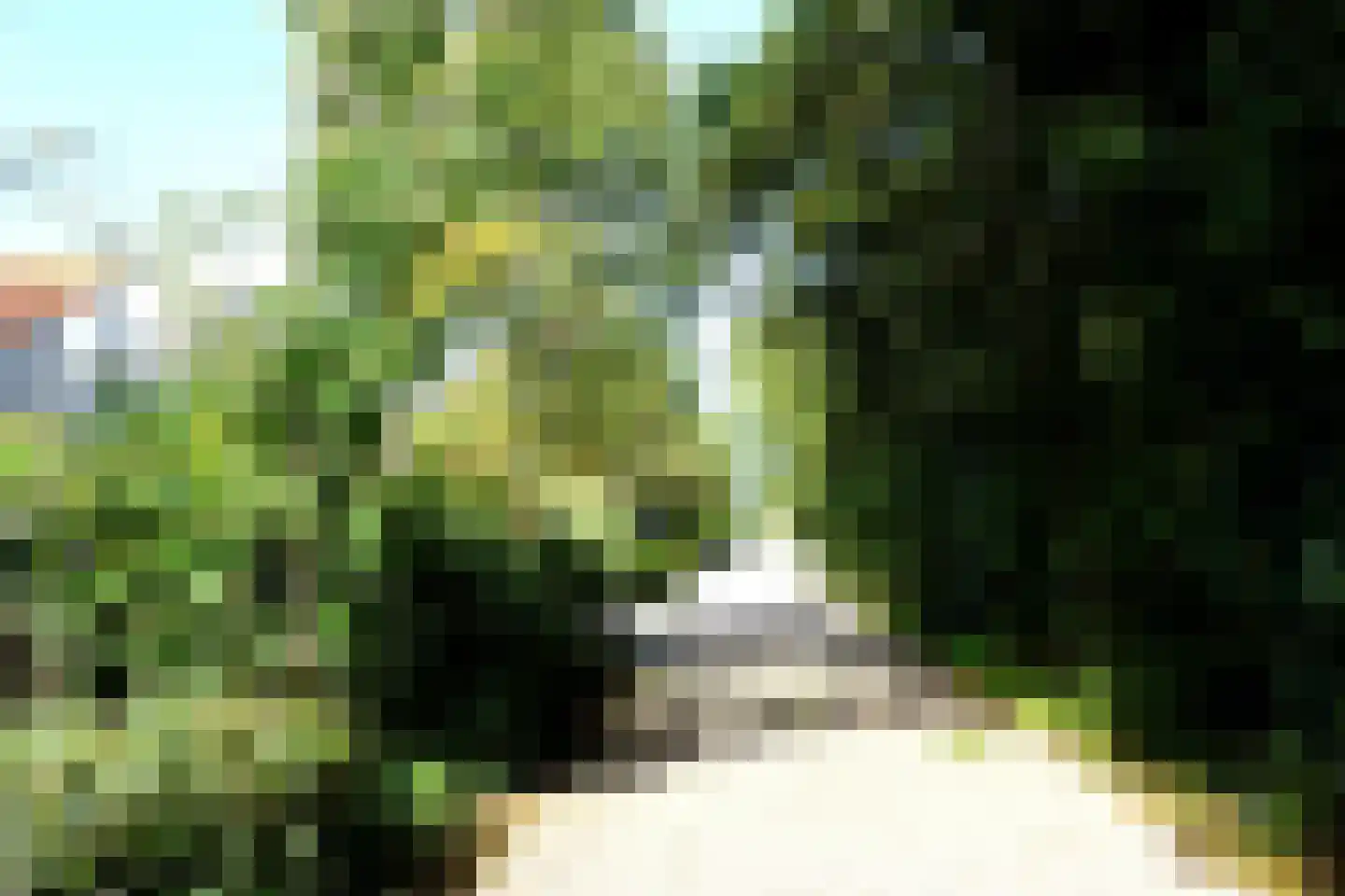 Ooghduyne 49 C Julianadorp thumbnail 43