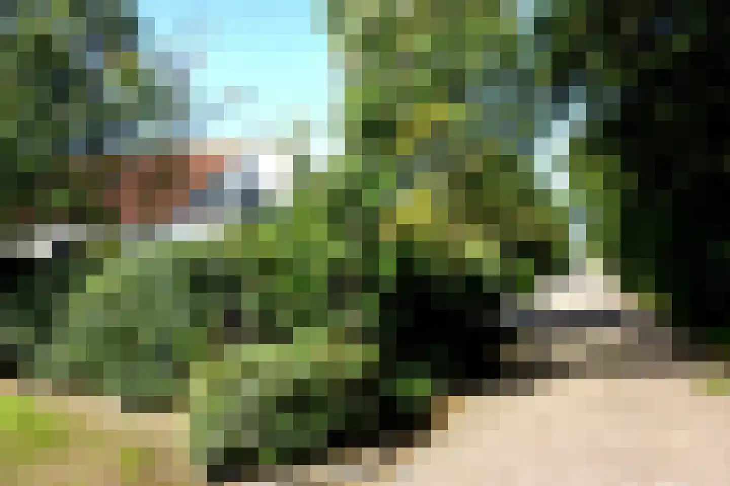 Ooghduyne 49 C Julianadorp thumbnail 45