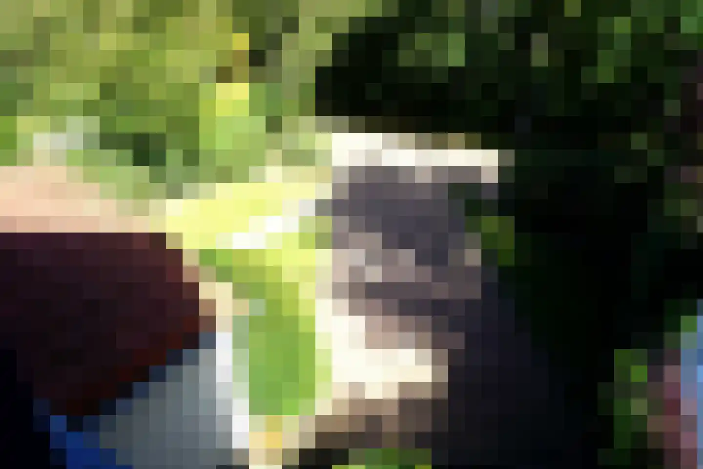 Ooghduyne 49 C Julianadorp thumbnail 47