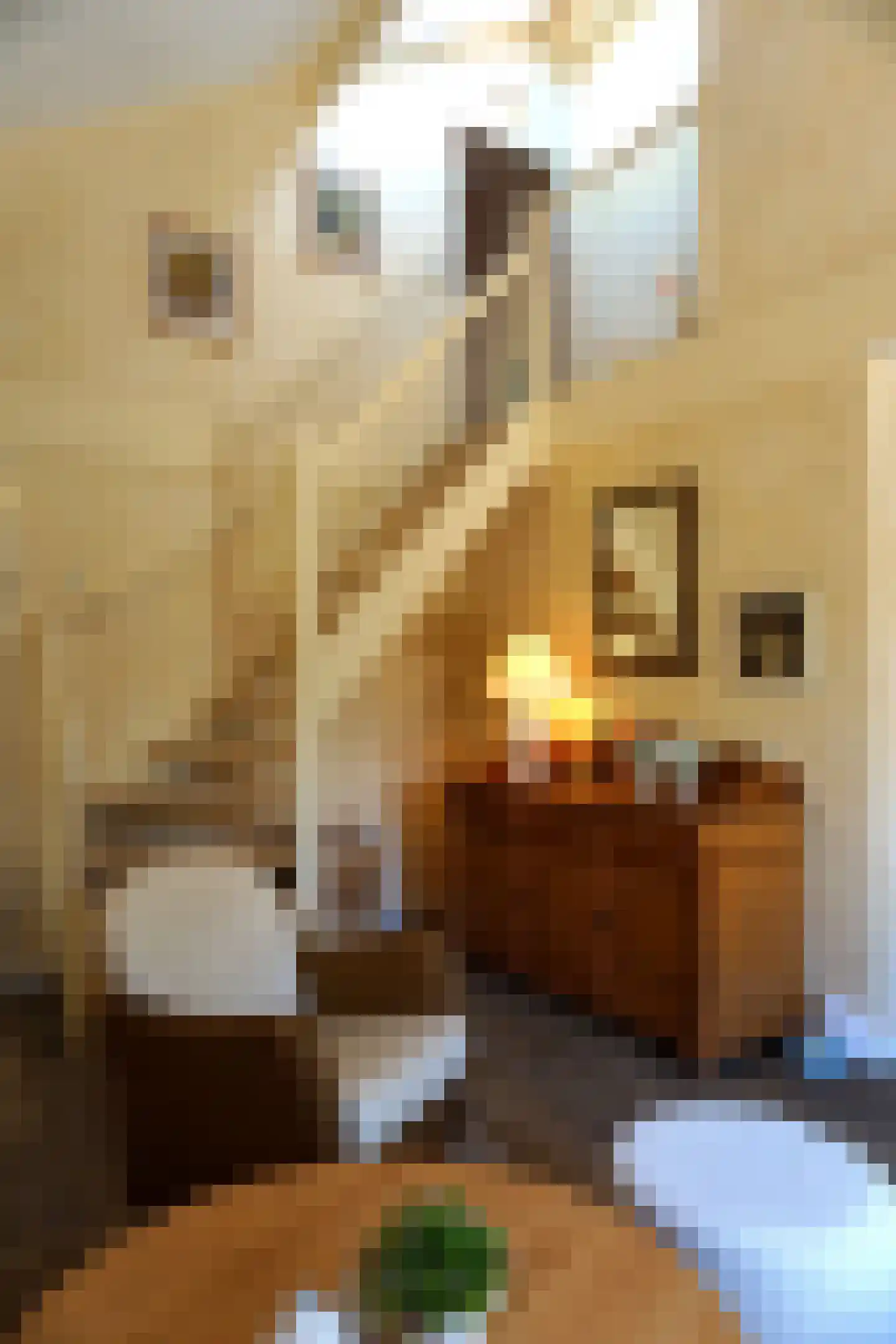 Ooghduyne 49 C Julianadorp thumbnail 9