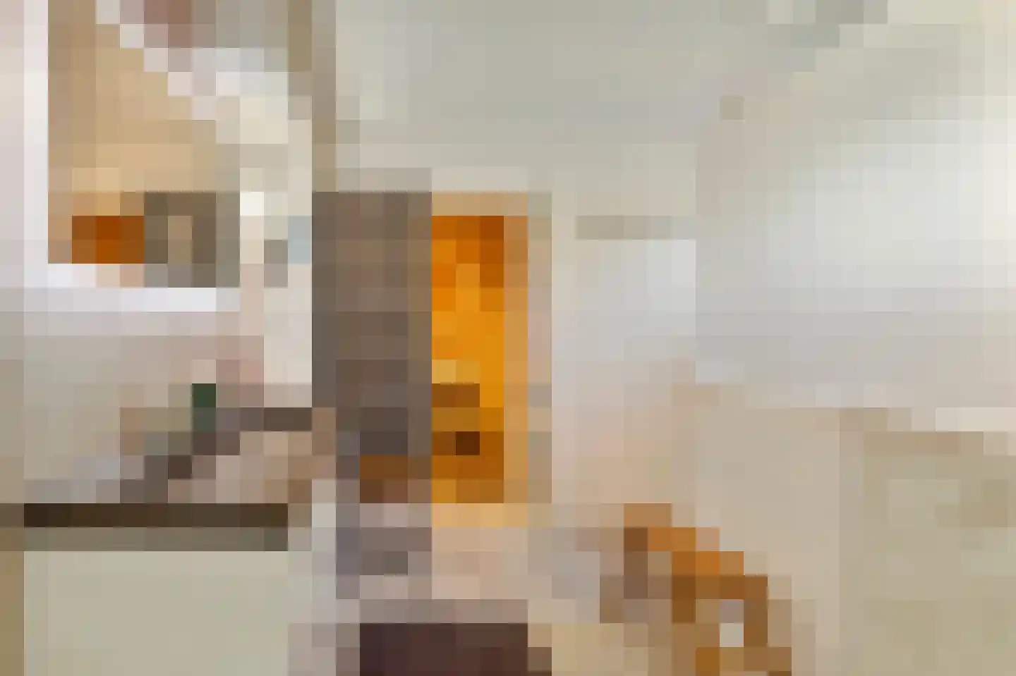 Ooghduyne 84 Julianadorp thumbnail 12