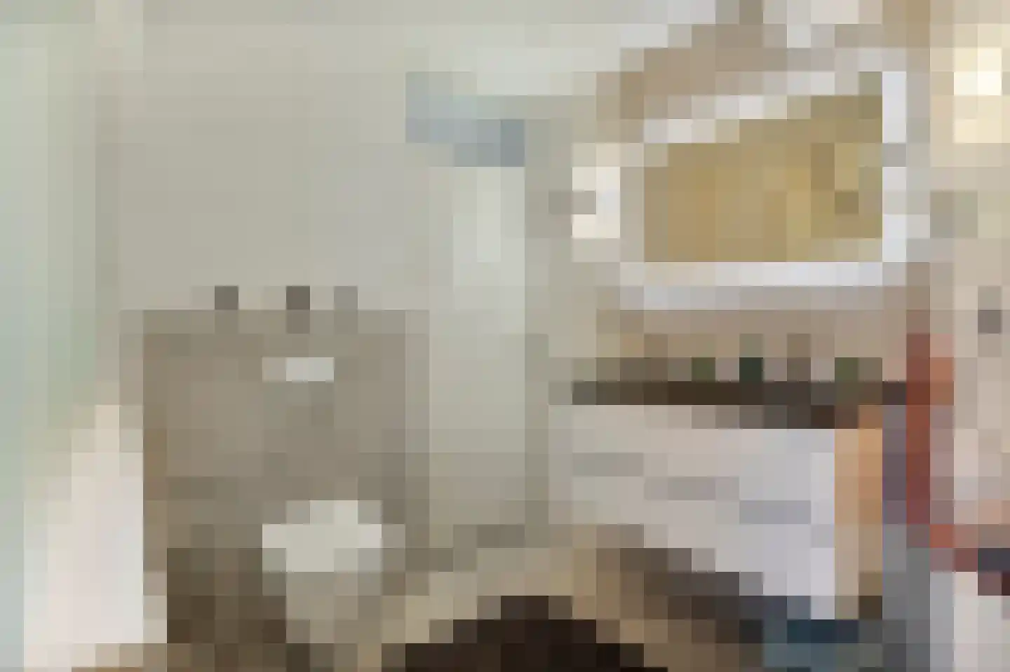 Ooghduyne 84 Julianadorp thumbnail 13
