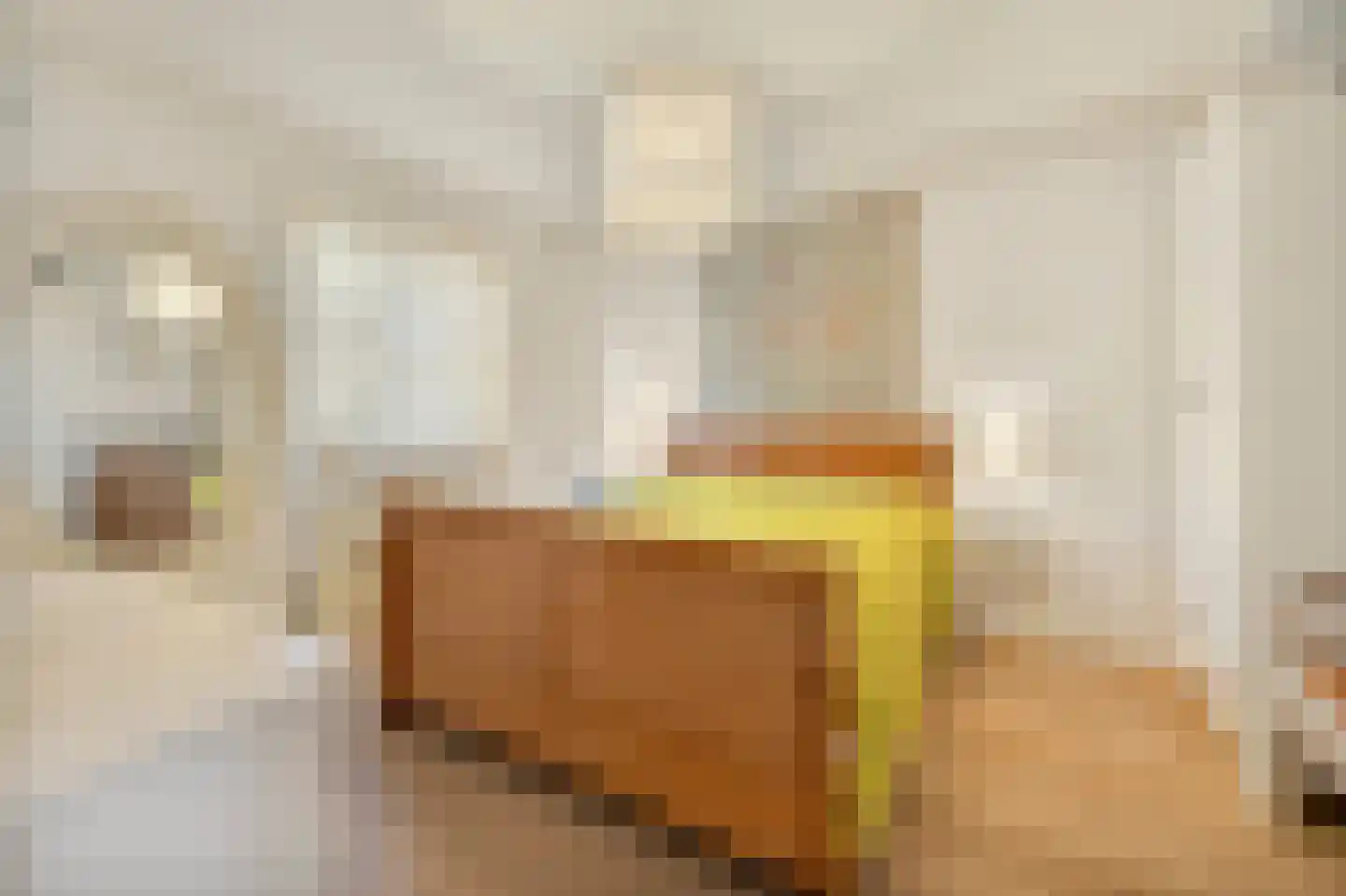 Ooghduyne 84 Julianadorp thumbnail 17