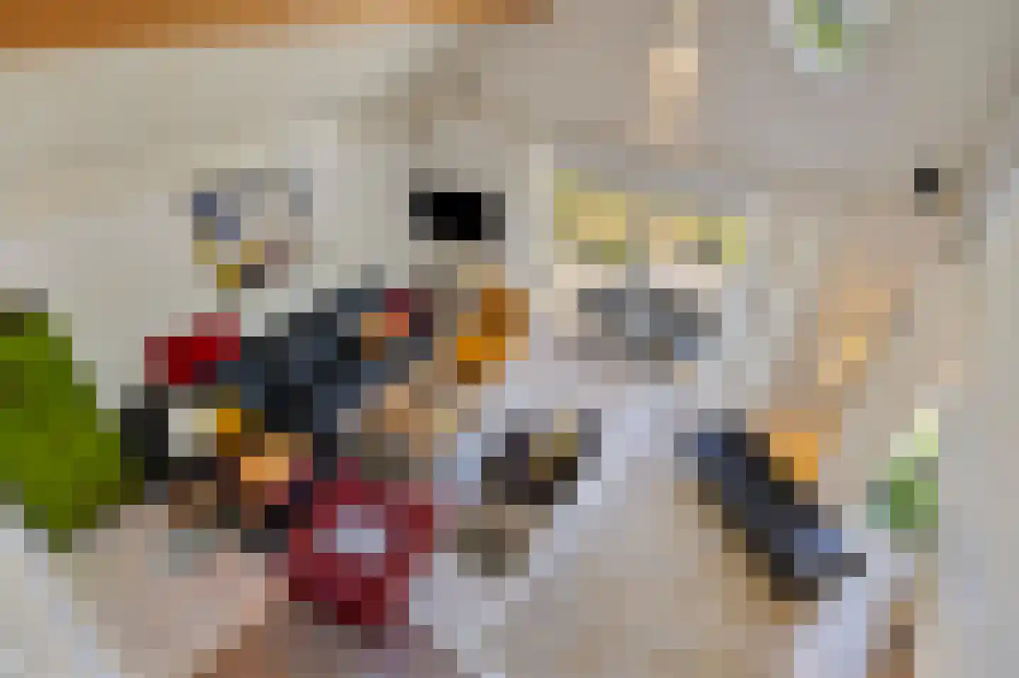 Ooghduyne 84 Julianadorp thumbnail 20