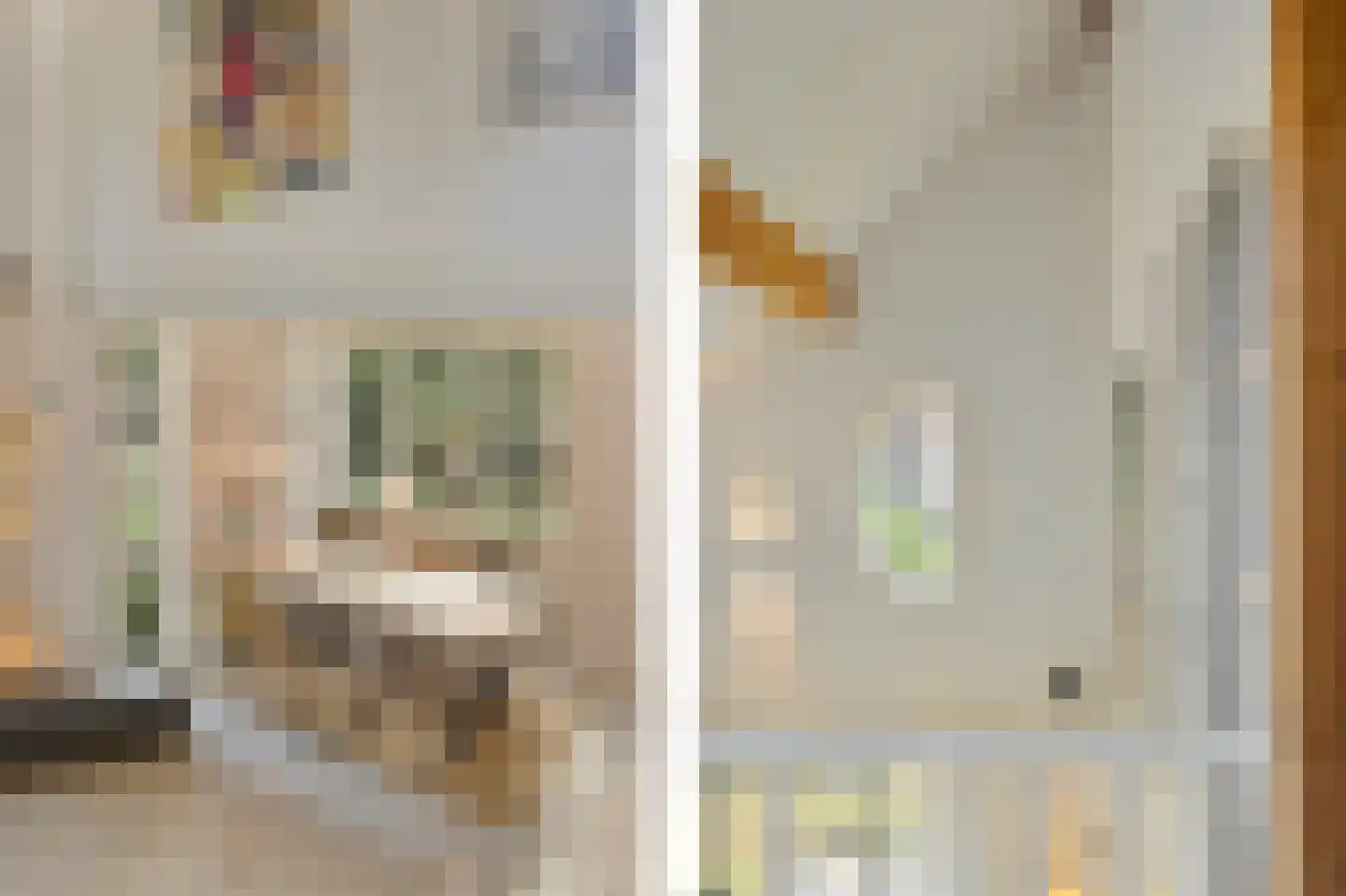 Ooghduyne 84 Julianadorp thumbnail 21