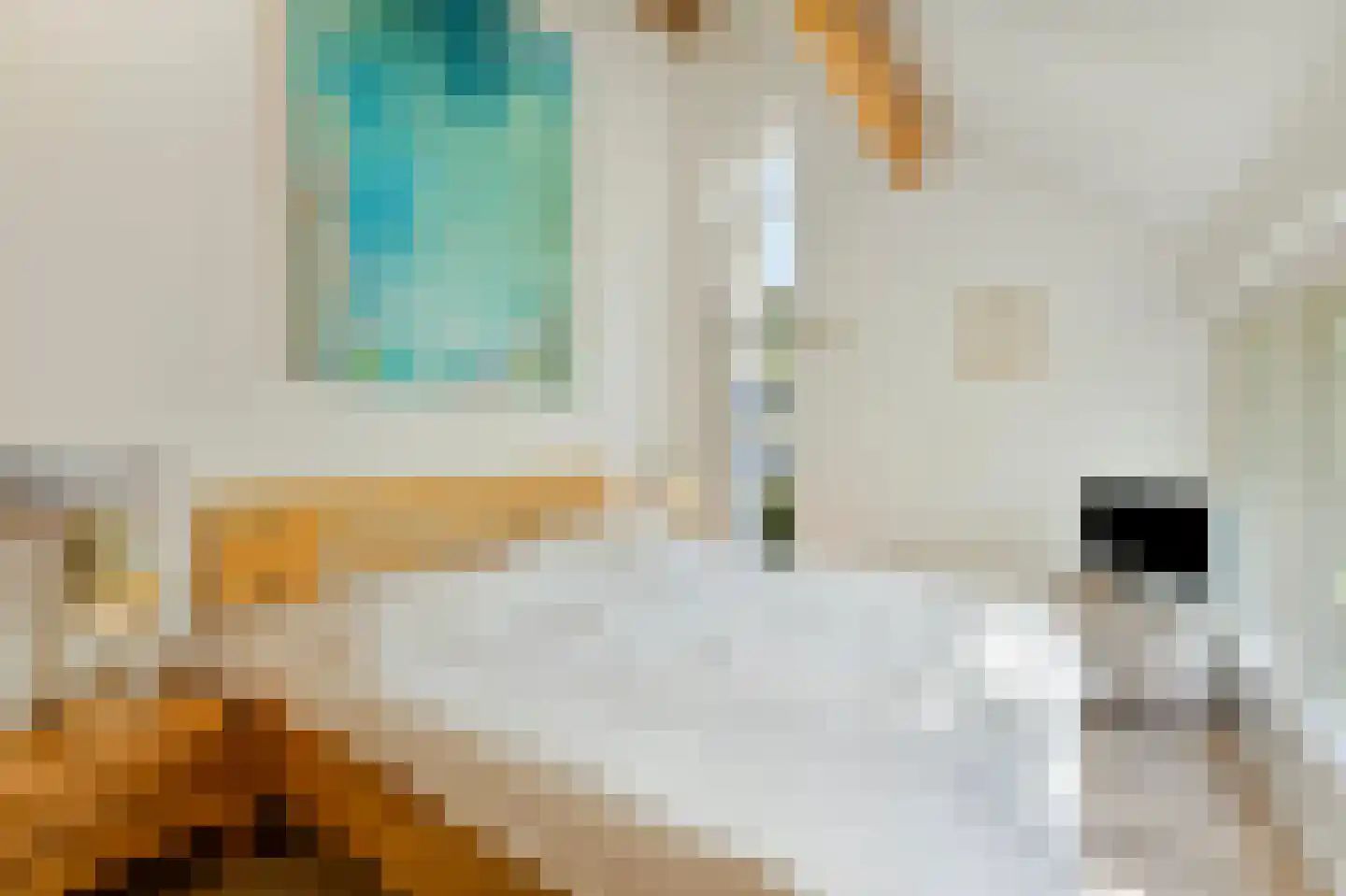 Ooghduyne 84 Julianadorp thumbnail 28