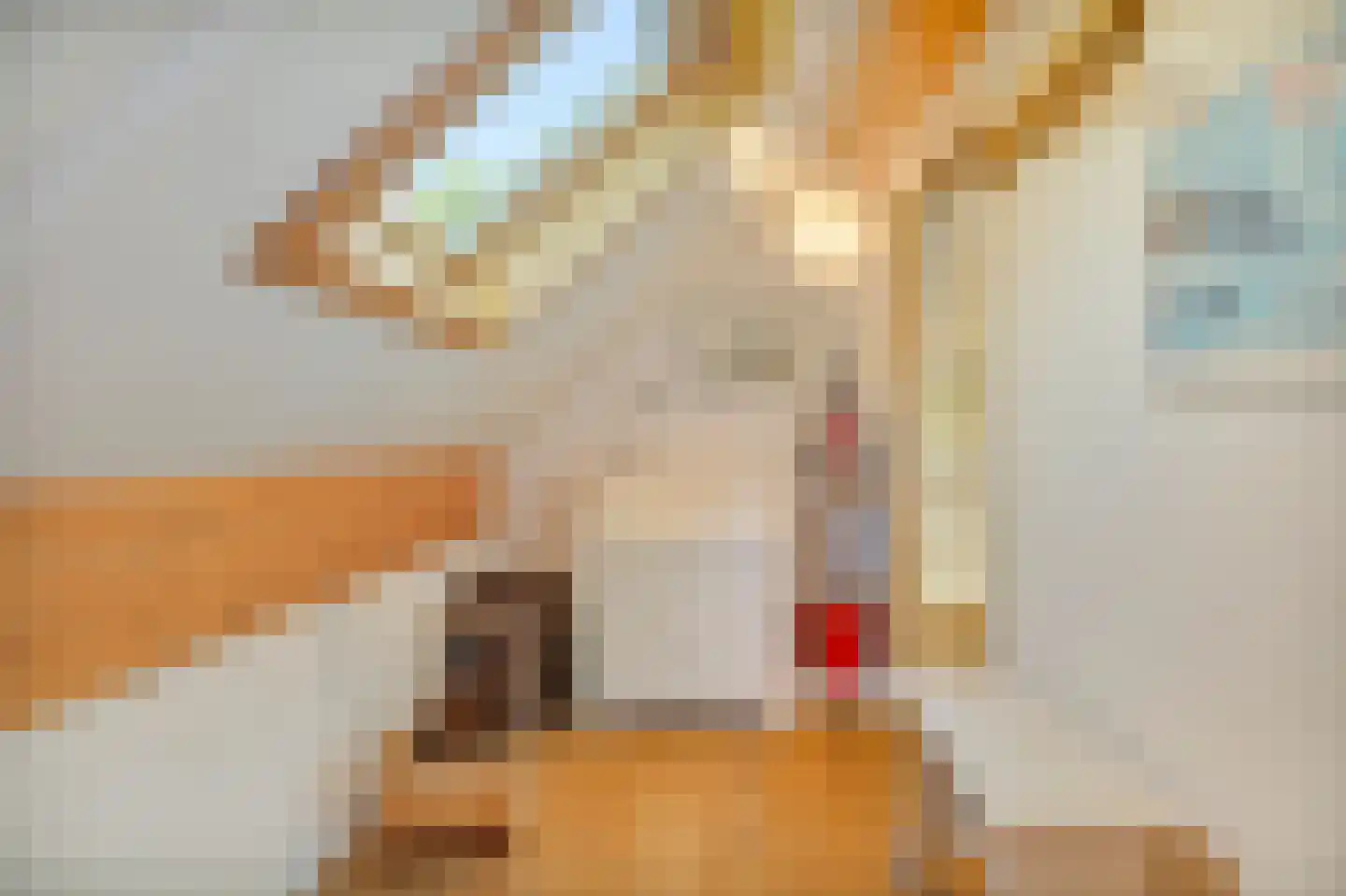 Ooghduyne 84 Julianadorp thumbnail 33