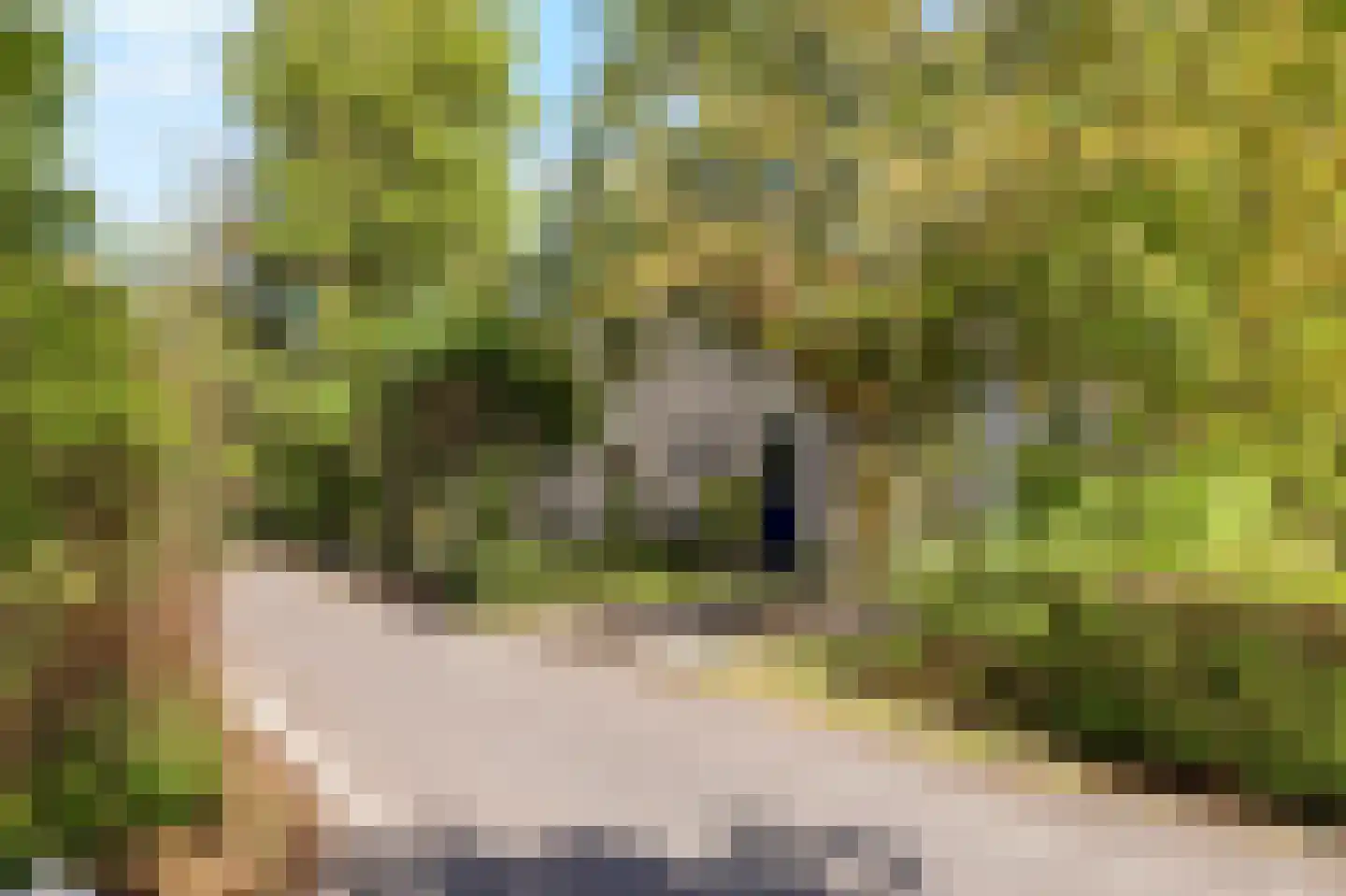 Ooghduyne 84 Julianadorp thumbnail 39