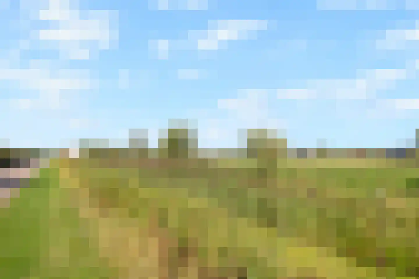 Ooghduyne 84 Julianadorp thumbnail 41