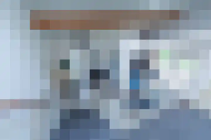 Ooghduyne 96 Julianadorp thumbnail 12