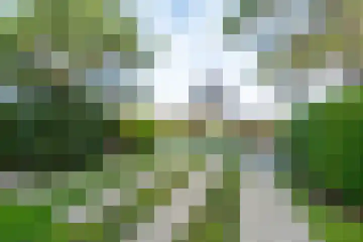 Ooghduyne 96 Julianadorp thumbnail 18
