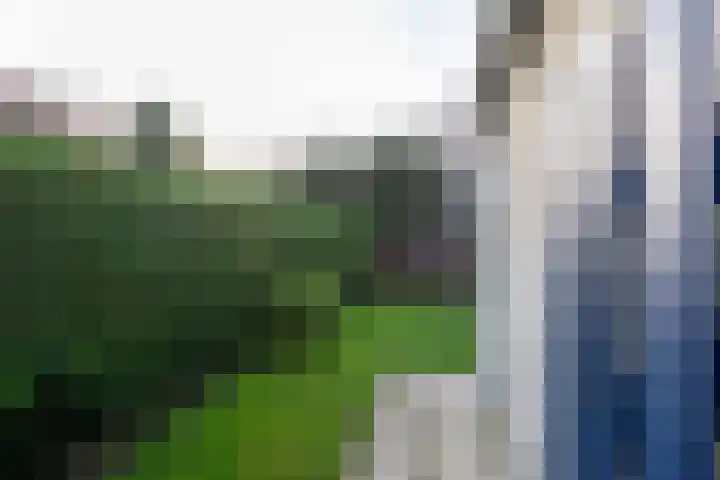 Ooghduyne 96 Julianadorp thumbnail 21