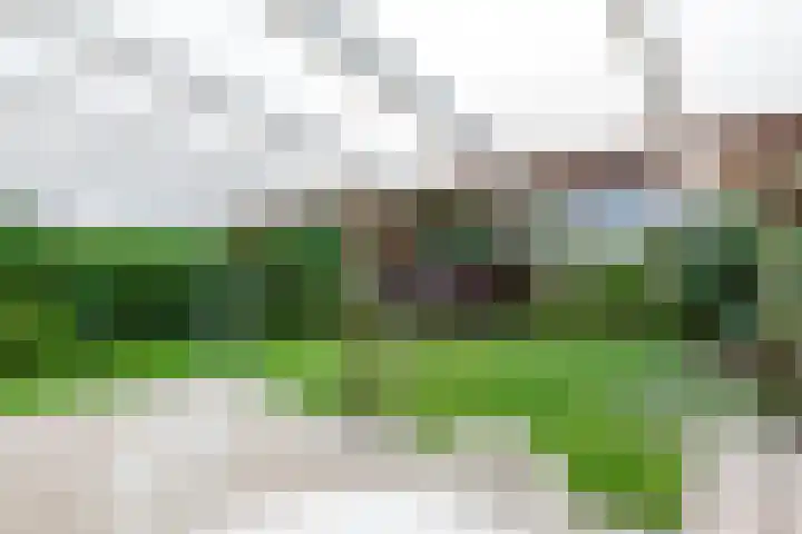 Ooghduyne 96 Julianadorp thumbnail 22