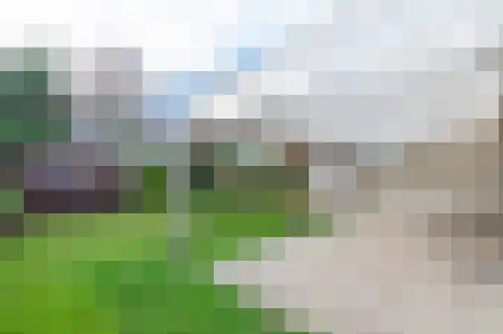 Ooghduyne 96 Julianadorp thumbnail 23