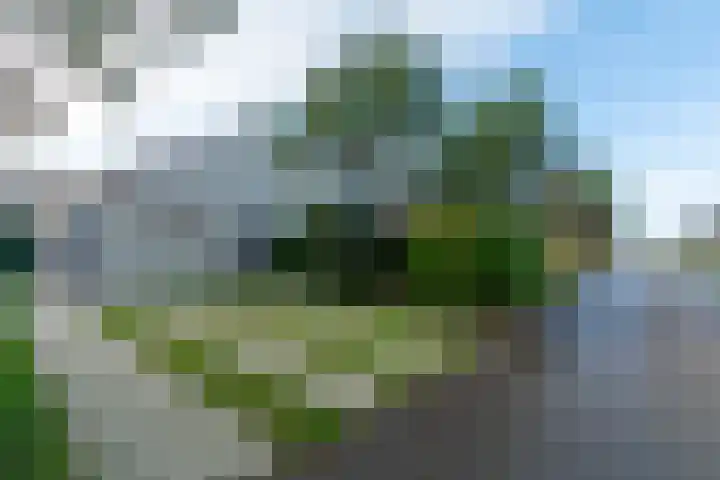 Ooghduyne 96 Julianadorp thumbnail 26