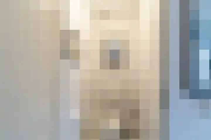 Ooghduyne 96 Julianadorp thumbnail 9