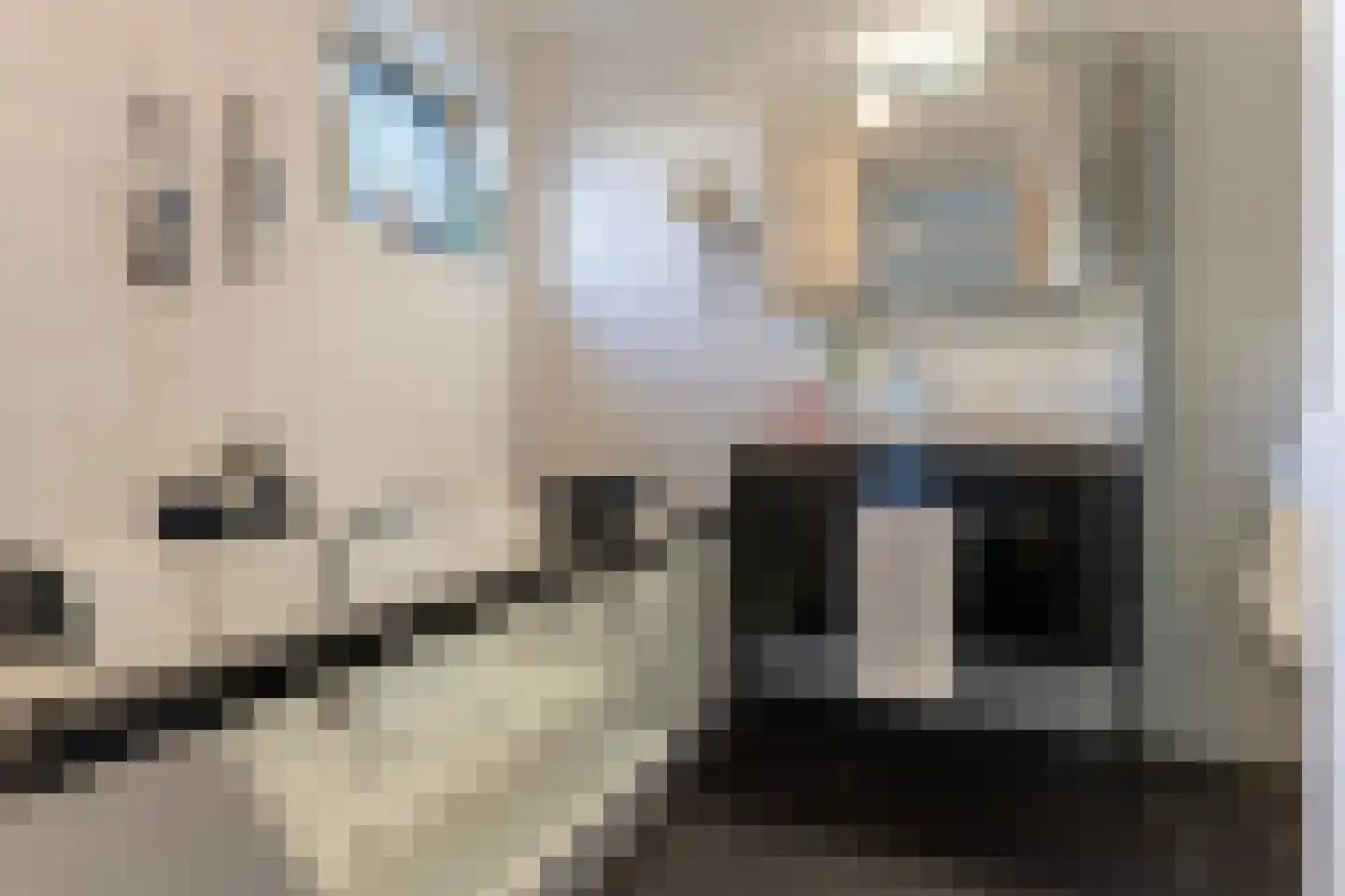 Ooghduyne 98 Julianadorp thumbnail 21
