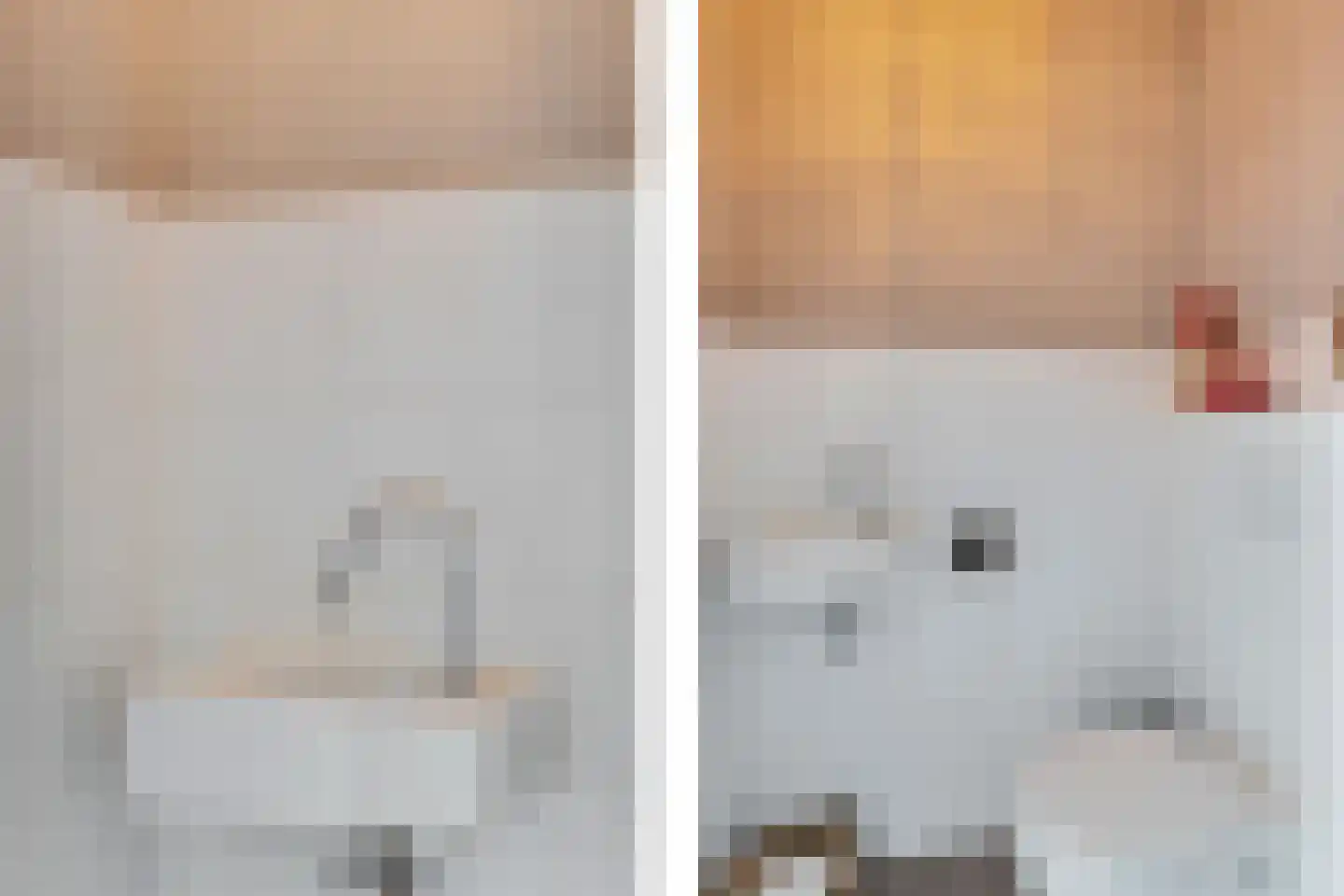 Oogsterf 2 Benthuizen thumbnail 11