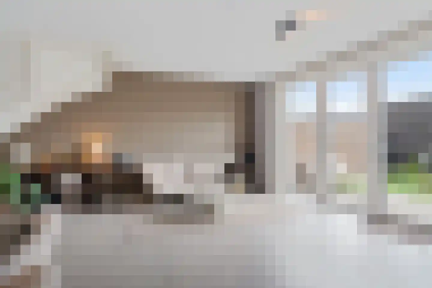 Oogsterf 2 Benthuizen thumbnail 15