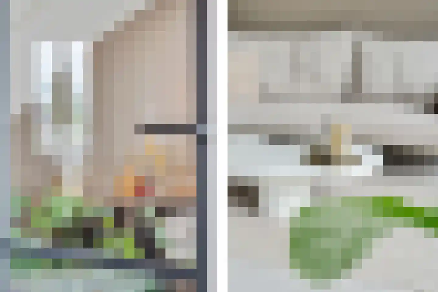 Oogsterf 2 Benthuizen thumbnail 19