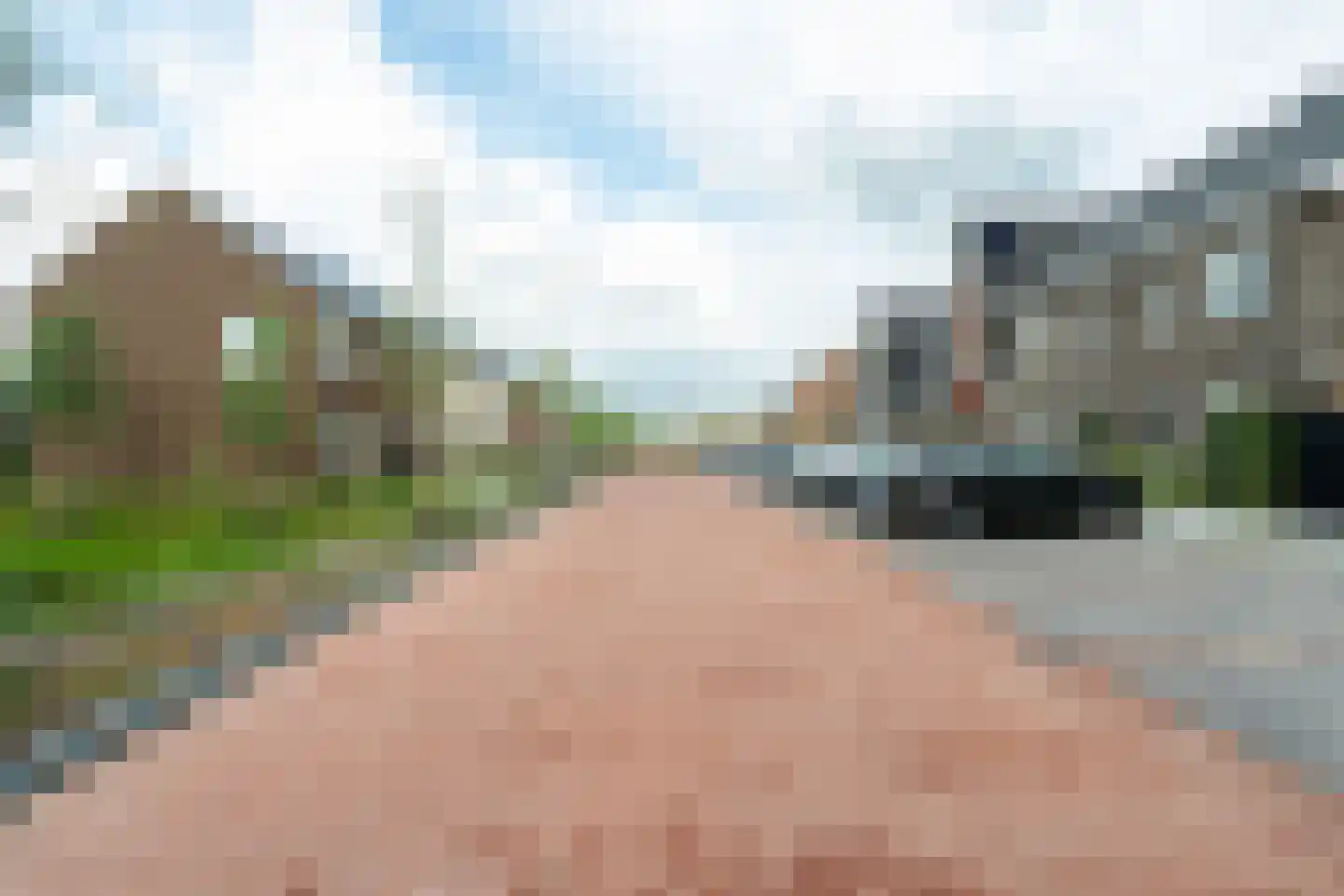 Oogsterf 2 Benthuizen thumbnail 54
