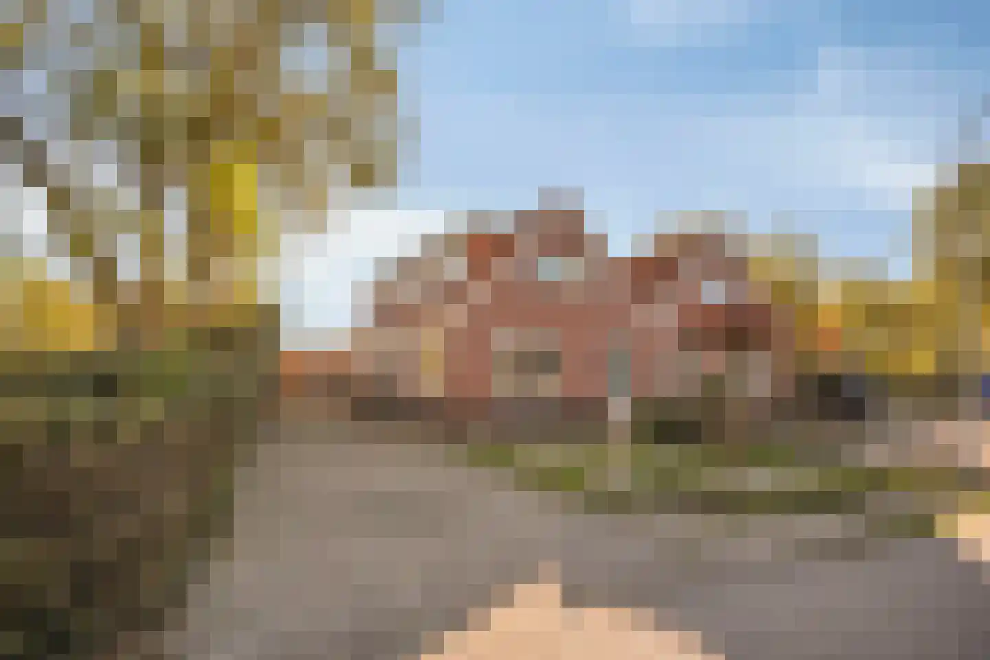Oogstlaan 6 Oude Pekela