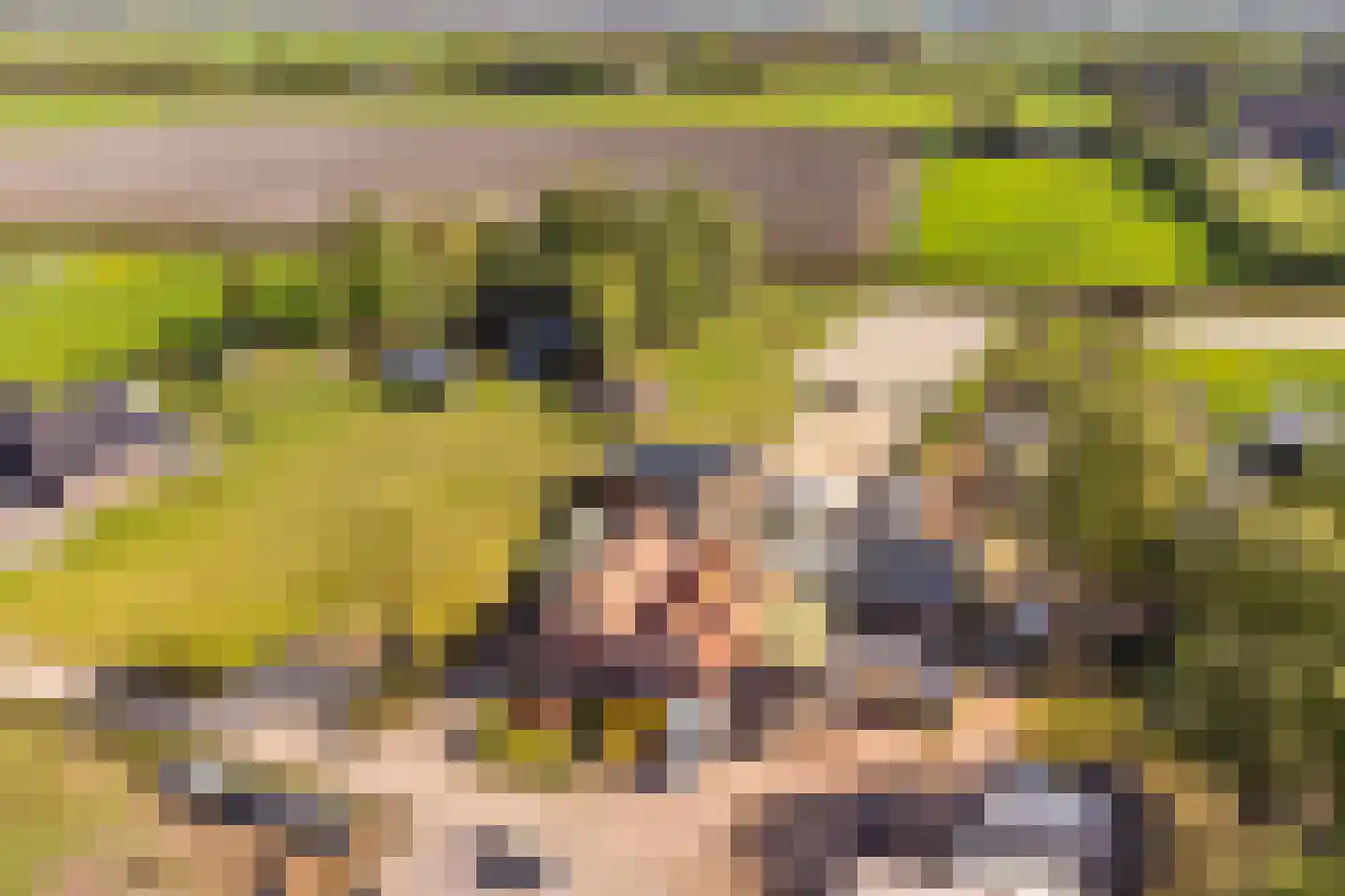 Oogstlaan 6 Oude Pekela thumbnail 11